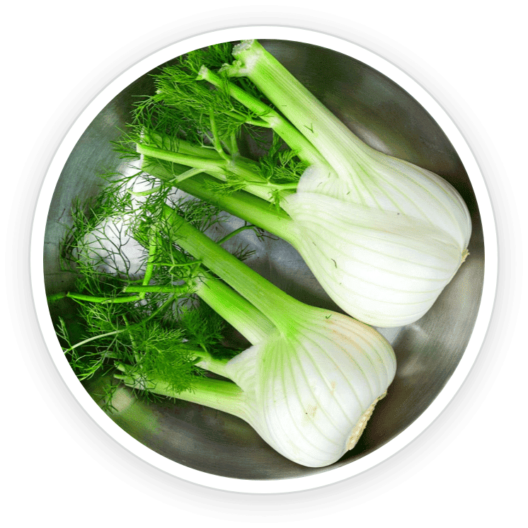 Fennel seeds