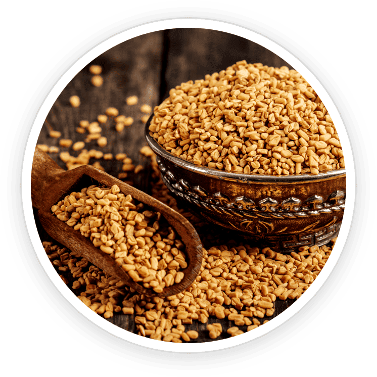 Fenugreek seeds