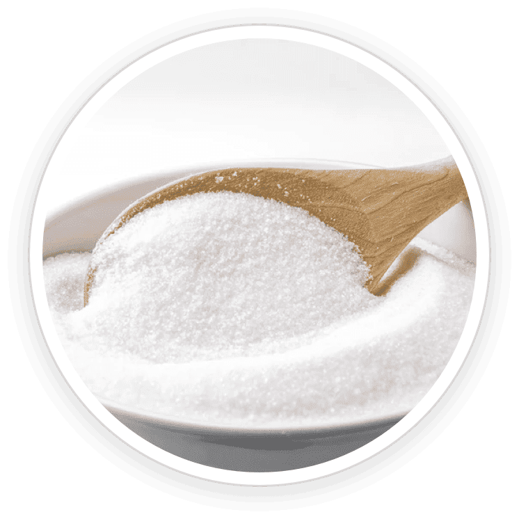Inulin prebiotic fiber source